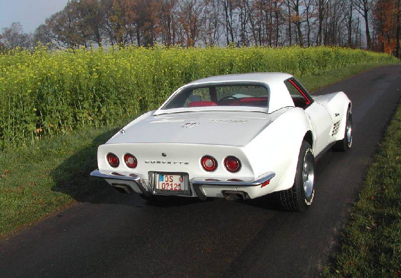 MARTINSRANCH 72 Stingray white red (3) 